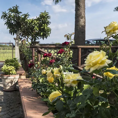 Mariella 2* 阿西西