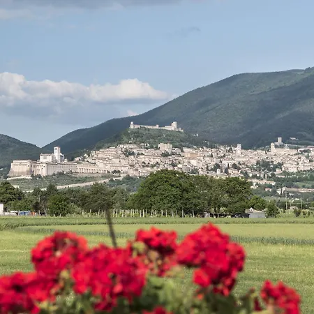 酒店 Mariella 阿西西