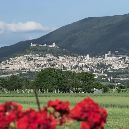 Mariella Szálloda Assisi