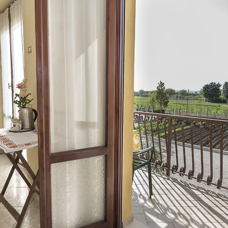 Mariella 2* 阿西西