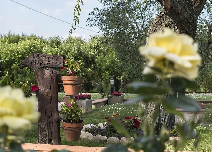 ホテル Mariella 2*